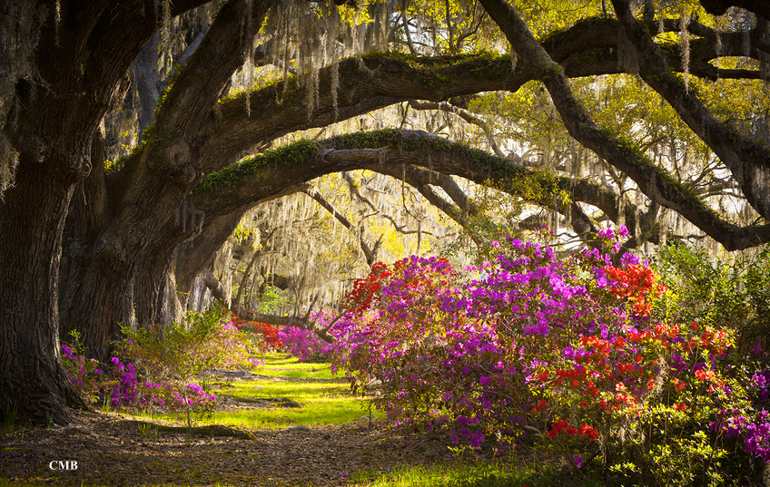 Charleston, South Carolina